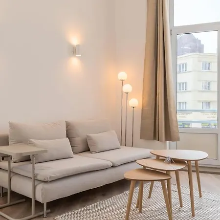 Spacious And Bright In The Center. * Lille