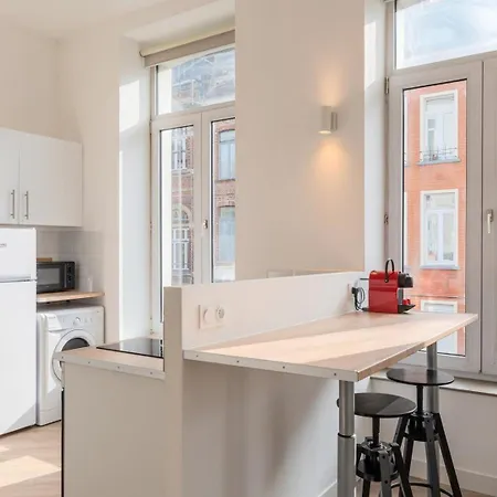Spacious And Bright In The Center. Lille